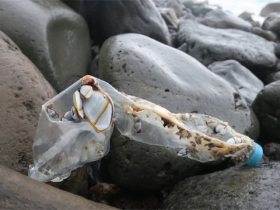 證明“海洋塑料”，需要遵循哪些標(biāo)準(zhǔn)？