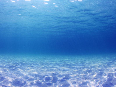 全球“限塑令”真的要來了！聯(lián)合國環(huán)境大會通過“限塑令”草案